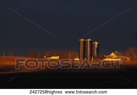 Agriculture - Dramatic sunrise light casting across harvested fallow cornfields and a farmstead with Harvestore silos / near Truman Minnesota, USA. View Large Photo Image Stock Photograph - Agriculture - Dramatic sunrise light casting across harvested fallow cornfields and a farmstead with Harvestore silos / near Truman Minnesota, USA.. Fotosearch