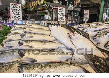 Alaskan salmon and halibut for sale at Pike Place Market in downtown Seattle; Seattle, Washington, United States of America View Large Photo Image Stock Photograph - Alaskan salmon and halibut for sale at Pike Place Market in downtown Seattle; Seattle, Washington, United States of America. Fotosearch