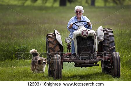 Stock Photograph - An elderly woman, with a big smile on her face, driving an old Ford Jubilee tractor towards the camera with her dog following behind; Kentucky, United States of America. Fotosearch