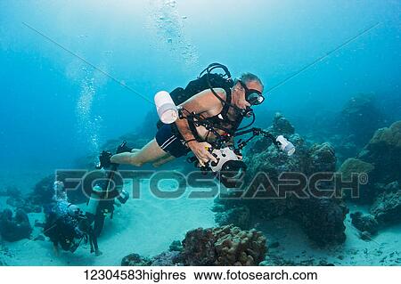 Stock Photograph - An underwater photographer off the island of Yap; Yap, Micronesia. Fotosearch