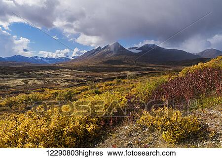 Stock Photograph - Autumn scenic along Haines Highway with Nadahini Mountains in the background, British Columbia, Canada. Fotosearch