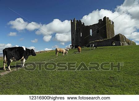 Stock Photograph - Ballycarbery castle ruins near Cahirciveen; County Kerry, Ireland. Fotosearch