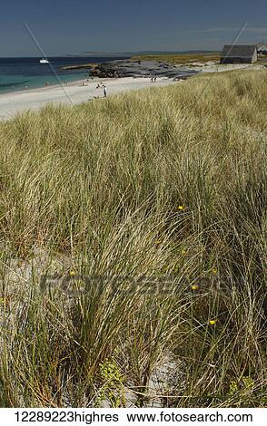 Beach on Inisheer island, smallest of the Aran islands, off the Galway coast on the Wild Atlantic Way; Inisheer Island, Ireland View Large Photo Image Stock Photograph - Beach on Inisheer island, smallest of the Aran islands, off the Galway coast on the Wild Atlantic Way; Inisheer Island, Ireland. Fotosearch