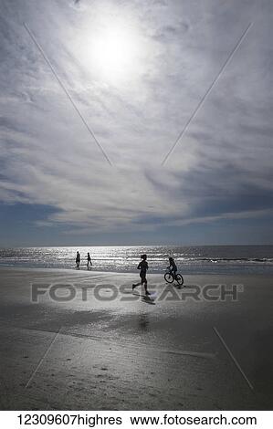 Beachgoers enjoy the sand; Hilton Head Island, South Carolina, United States of America View Large Photo Image Stock Photograph - Beachgoers enjoy the sand; Hilton Head Island, South Carolina, United States of America. Fotosearch