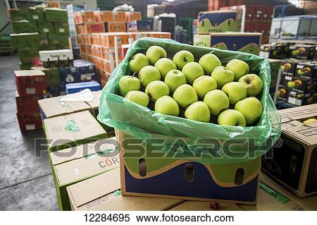 Stock Photography - Boxes of green apples and other produce at Tshwane Fresh Produce Market; Pretoria, Gauteng, South Africa. Fotosearch