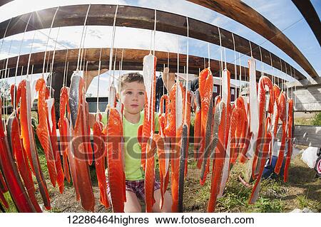 Boy looking at drying rack of salmon at fish camp in Bristol Bay, Southwest Alaska, Summer View Large Photo Image Stock Photograph - Boy looking at drying rack of salmon at fish camp in Bristol Bay, Southwest Alaska, Summer. Fotosearch