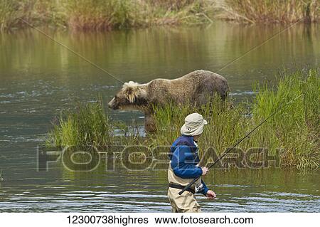 Brown bear (Ursus arctos) looking for salmon along lower Brooks River with a fisherman cautiously watching in the foreground, Katmai National Park and Preserve, Southwest Alaska View Large Photo Image Stock Photograph - Brown bear (Ursus arctos) looking for salmon along lower Brooks River with a fisherman cautiously watching in the foreground, Katmai National Park and Preserve, Southwest Alaska. Fotosearch
