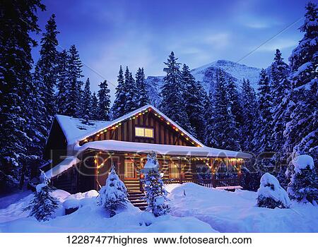 Cabin in the woods illuminated by Christmas lights View Large Photo Image Stock Photograph - Cabin in the woods illuminated by Christmas lights. Fotosearch