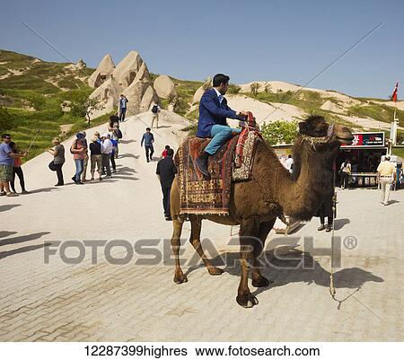 Camel ride for tourists; Cappadocia, Turkey View Large Photo Image Stock Photograph - Camel ride for tourists; Cappadocia, Turkey. Fotosearch
