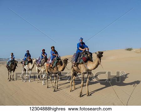 Stock Photograph - Camel trek on the beach; Essaouira, Morocco. Fotosearch