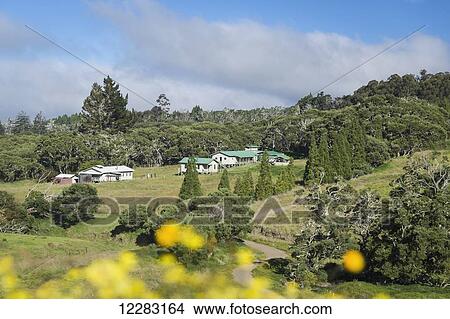 Camping Cabins And Ranger Cabin At Keanakolu State Park Along Mana