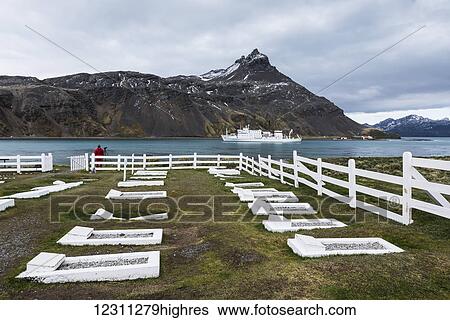 Stock Photograph - Cemetery along the coast with a cruise ship in the harbour; Grytviken, South Georgia, South Georgia and the South Sandwich Islands, United Kingdom. Fotosearch