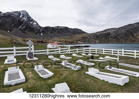 Cemetery along the harbour; Grytviken, South Georgia, South Georgia and the South Sandwich Islands, United Kingdom View Large Photo Image Stock Photograph - Cemetery along the harbour; Grytviken, South Georgia, South Georgia and the South Sandwich Islands, United Kingdom. Fotosearch