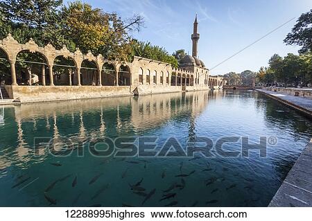 Chamber of Abraham and a minaret reflected in the tranquil water of the pool of sacred fish; Sanliurfa, Turkey View Large Photo Image Stock Photograph - Chamber of Abraham and a minaret reflected in the tranquil water of the pool of sacred fish; Sanliurfa, Turkey. Fotosearch