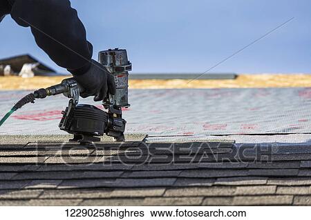 Close up of air nailer, with male roofer's hand, nailing new shingles on top of roof with blue sky; Calgary, Alberta, Canada View Large Photo Image Stock Photograph - Close up of air nailer, with male roofer's hand, nailing new shingles on top of roof with blue sky; Calgary, Alberta, Canada. Fotosearch