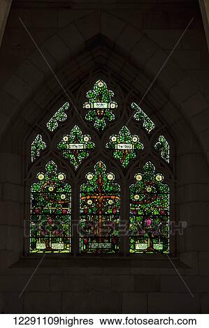Colourful stained glass window depicting a tree with branches in the shape of a cross, Christ Church; Jerusalem, Israel View Large Photo Image Stock Photograph - Colourful stained glass window depicting a tree with branches in the shape of a cross, Christ Church; Jerusalem, Israel. Fotosearch