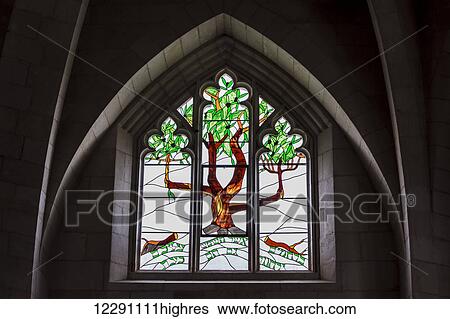 Stock Photograph - Colourful stained glass window depicting a tree, Christ Church; Jerusalem, Israel. Fotosearch