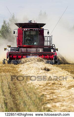 Combine harvesting a row of barley, dust in the air; Acme, Alberta, Canada View Large Photo Image Stock Photograph - Combine harvesting a row of barley, dust in the air; Acme, Alberta, Canada. Fotosearch