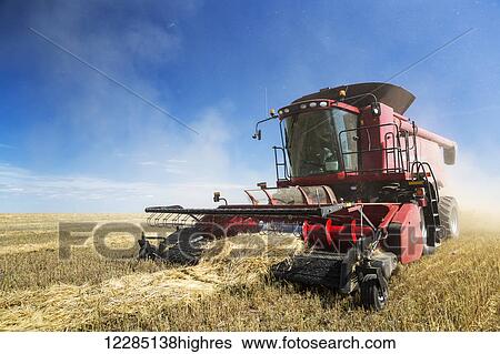 Combine harvesting rows of barley, dust in the air, with blue sky and clouds; Acme, Alberta, Canada View Large Photo Image Stock Photograph - Combine harvesting rows of barley, dust in the air, with blue sky and clouds; Acme, Alberta, Canada. Fotosearch