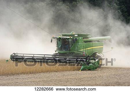Combine harvesting soybeans; Laytonsville, Maryland, United States of America View Large Photo Image Stock Photograph - Combine harvesting soybeans; Laytonsville, Maryland, United States of America. Fotosearch