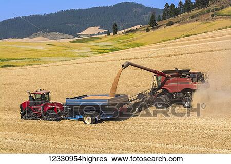 Stock Photograph - Combine Offloading Grain To A Tractor Pulled Grain Cart In Southeast Washington; Washington, United States Of America. Fotosearch