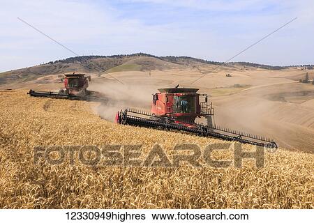 Stock Photograph - Combines Harvesting Grain In The Palouse Region Of Eastern Washington; Washington, United States Of America. Fotosearch