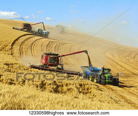 Combines Offloading Grain To A Tractor Pulled Grain Cart In Southeast Washington; Washington, United States Of America View Large Photo Image Stock Photograph - Combines Offloading Grain To A Tractor Pulled Grain Cart In Southeast Washington; Washington, United States Of America. Fotosearch