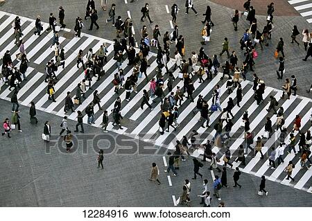 Commuters crossing a street in a crosswalk; Tokyo, Japan View Large Photo Image Stock Photograph - Commuters crossing a street in a crosswalk; Tokyo, Japan. Fotosearch