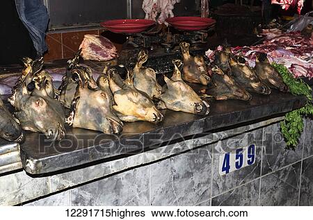 Counter top with 14 burned goat heads for sale in souk; Agadir, Morocco View Large Photo Image Stock Photograph - Counter top with 14 burned goat heads for sale in souk; Agadir, Morocco. Fotosearch