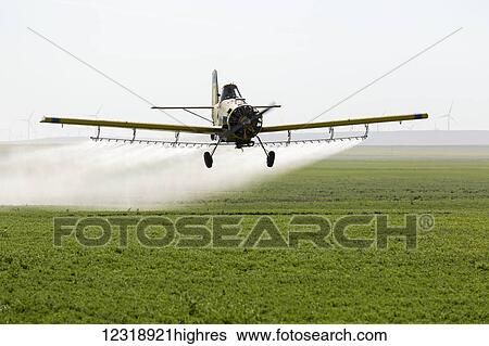 Crop duster flying and spraying over a green pea field with wind mills in the background on the ridge of a hill; Mossleigh, Alberta, Canada View Large Photo Image Stock Photograph - Crop duster flying and spraying over a green pea field with wind mills in the background on the ridge of a hill; Mossleigh, Alberta, Canada. Fotosearch