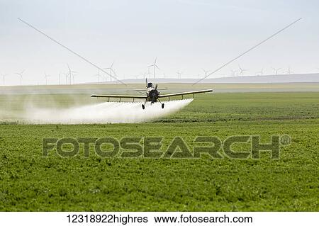 Stock Photograph - Crop duster flying and spraying over a green pea field with wind mills in the background on the ridge of a hill; Mossleigh, Alberta, Canada. Fotosearch