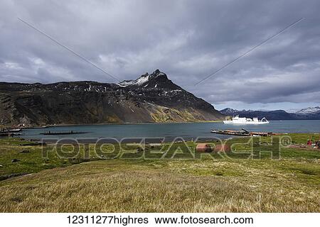 Stock Photograph - Cruise ship in Grytviken harbour; Grytviken, South Georgia, South Georgia and the South Sandwich Islands, United Kingdom. Fotosearch