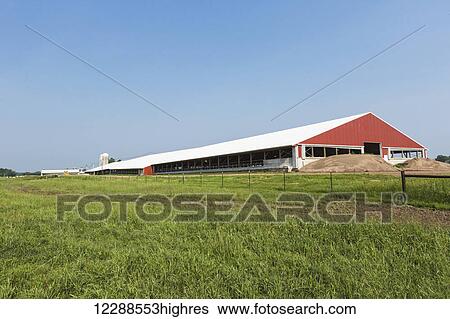 Dairy barn; Grantsburg, Wisconsin, United States of America View Large Photo Image Stock Photograph - Dairy barn; Grantsburg, Wisconsin, United States of America. Fotosearch