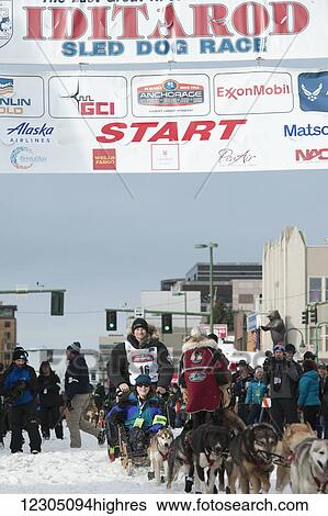 Stock Photograph - Dallas Seavey and team leave the ceremonial start line with an Iditarider during the 2016 Iditarod. Fotosearch