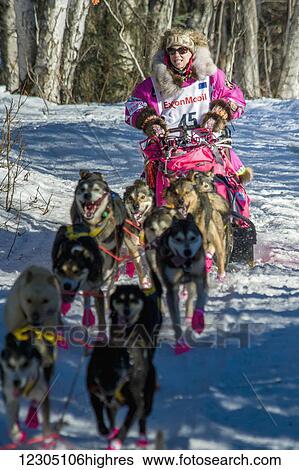 Stock Photograph - DeeDee Jonrowe and team run down the trail on Long Lake shortly after leaving the re-start in Willow, Alaska during the 2016 Iditarod. Fotosearch