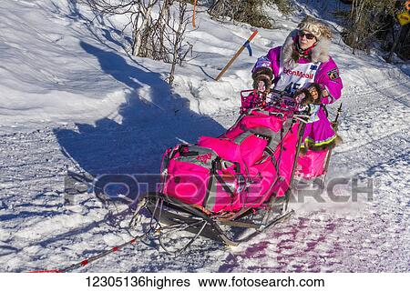 DeeDee Jonrowe and team run down the trail on Long Lake shortly after leaving the re-start in Willow, Alaska during the 2016 Iditarod View Large Photo Image Stock Photograph - DeeDee Jonrowe and team run down the trail on Long Lake shortly after leaving the re-start in Willow, Alaska during the 2016 Iditarod. Fotosearch
