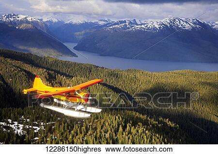 Stock Photograph - DeHavilland Beaver floatplane over Revillagigedo Island, across from Walker Cove, in Southeast Alaskas Misty Fjord Monument. Fotosearch