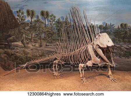 Dinosaur displays at the Royal Tyrell Museum Of Palaeontology; Drumheller, Alberta, Canada View Large Photo Image Stock Photograph - Dinosaur displays at the Royal Tyrell Museum Of Palaeontology; Drumheller, Alberta, Canada. Fotosearch