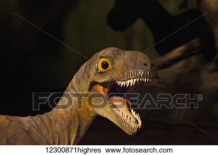 Dinosaur displays at the Royal Tyrell Museum Of Palaeontology; Drumheller, Alberta, Canada View Large Photo Image Stock Photograph - Dinosaur displays at the Royal Tyrell Museum Of Palaeontology; Drumheller, Alberta, Canada. Fotosearch