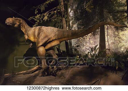 Dinosaur displays at the Royal Tyrell Museum Of Palaeontology; Drumheller, Alberta, Canada View Large Photo Image Stock Photograph - Dinosaur displays at the Royal Tyrell Museum Of Palaeontology; Drumheller, Alberta, Canada. Fotosearch