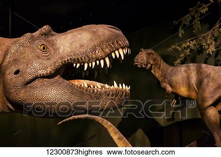 Dinosaur displays at the Royal Tyrell Museum Of Palaeontology; Drumheller, Alberta, Canada View Large Photo Image Stock Photograph - Dinosaur displays at the Royal Tyrell Museum Of Palaeontology; Drumheller, Alberta, Canada. Fotosearch