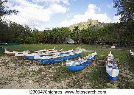 Double-hull Hawaiian canoes; Oahu, Hawaii, United States of America View Large Photo Image Stock Photograph - Double-hull Hawaiian canoes; Oahu, Hawaii, United States of America. Fotosearch