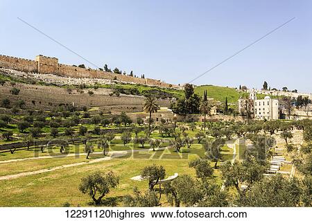 Stock Photograph - Eastern Gate and the Old city walls of Jerusalem, Kidron Valley; Jerusalem, Israel. Fotosearch