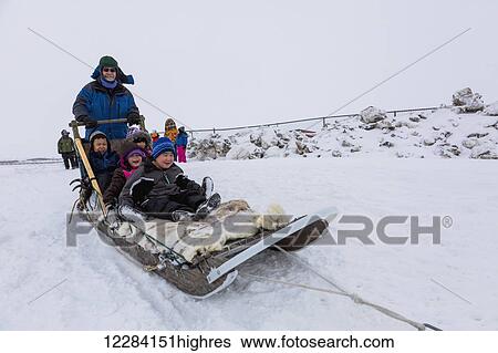 Elementary school children ride a sled pulled by sled dogs around the lagoon, Barrow, North Slope, Arctic Alaska, USA, Winter View Large Photo Image Stock Photograph - Elementary school children ride a sled pulled by sled dogs around the lagoon, Barrow, North Slope, Arctic Alaska, USA, Winter. Fotosearch