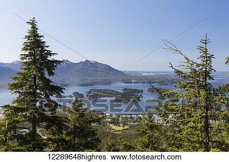 Elevated view of Sitka Harbor from the Gavin Hill Trail, Sitka, Southeast Alaska, USA, Summer View Large Photo Image Stock Photograph - Elevated view of Sitka Harbor from the Gavin Hill Trail, Sitka, Southeast Alaska, USA, Summer. Fotosearch