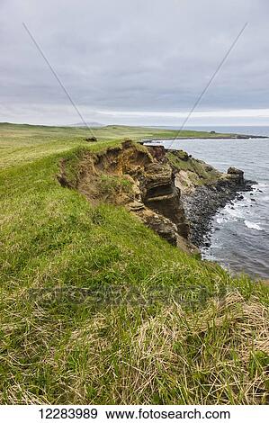Eroding sandstone cliffs on the shores of the Bering Sea, St. Paul Island, Southwestern Alaska, USA, Summer View Large Photo Image Stock Photo - Eroding sandstone cliffs on the shores of the Bering Sea, St. Paul Island, Southwestern Alaska, USA, Summer. Fotosearch