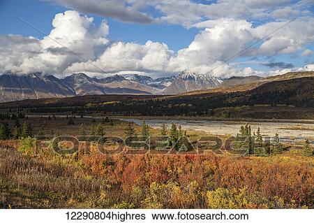Fall color along the Haines Highway, Alaska Highway, British Columbia, Nadahani Creek, Mt. Kelsall. View Large Photo Image Stock Photograph - Fall color along the Haines Highway, Alaska Highway, British Columbia, Nadahani Creek, Mt. Kelsall.. Fotosearch