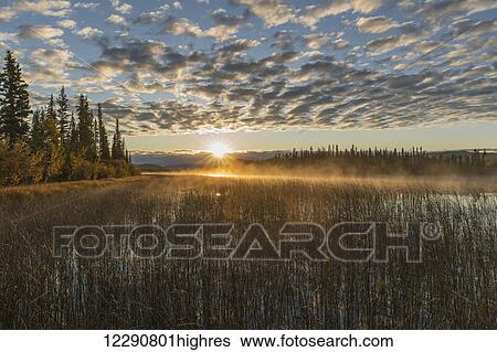 Stock Photograph - Fall color in Tombstone Territorial Park, Yukon Territory, Canada. Fotosearch