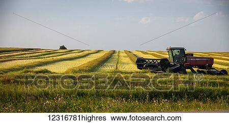 Stock Photograph - Farm equipment on farmland at harvest time; Saskatchewan, Canada. Fotosearch