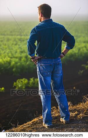 Stock Photograph - Farmer looking over carrot field; Bradford, Ontario, Canada. Fotosearch